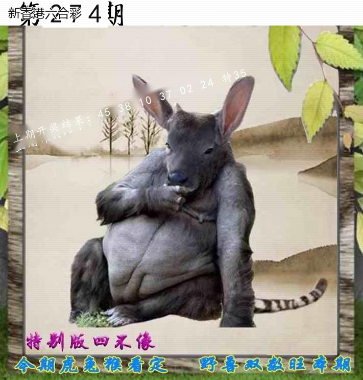第2026274期精选图库 1318